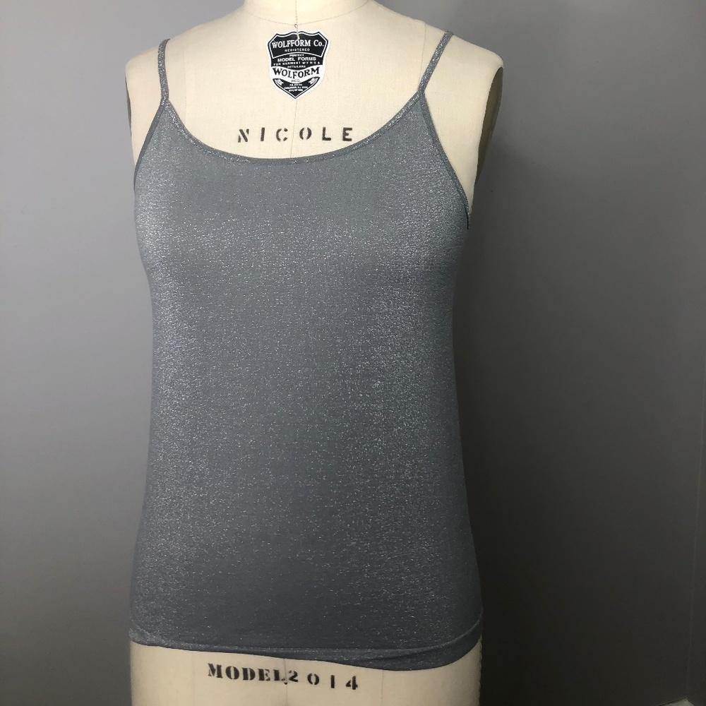 EUC Anne Taylor Silver Camisole